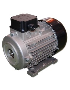 MOTOR 2 CV E/H 3-230/400V 1.450 RPM Ø.24 mm 90L